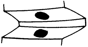 FX݆͜(zhn)pX݆g(sh)Z(y)ӹ݆X|zԇ(yn)