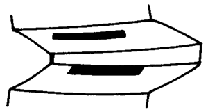 FX݆͜(zhn)pX݆g(sh)Z(y)ӹ݆X|zԇ(yn)